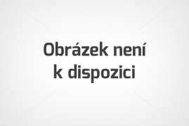 PREMIUM - Po portugalském Douru za sluncem (ALVA)